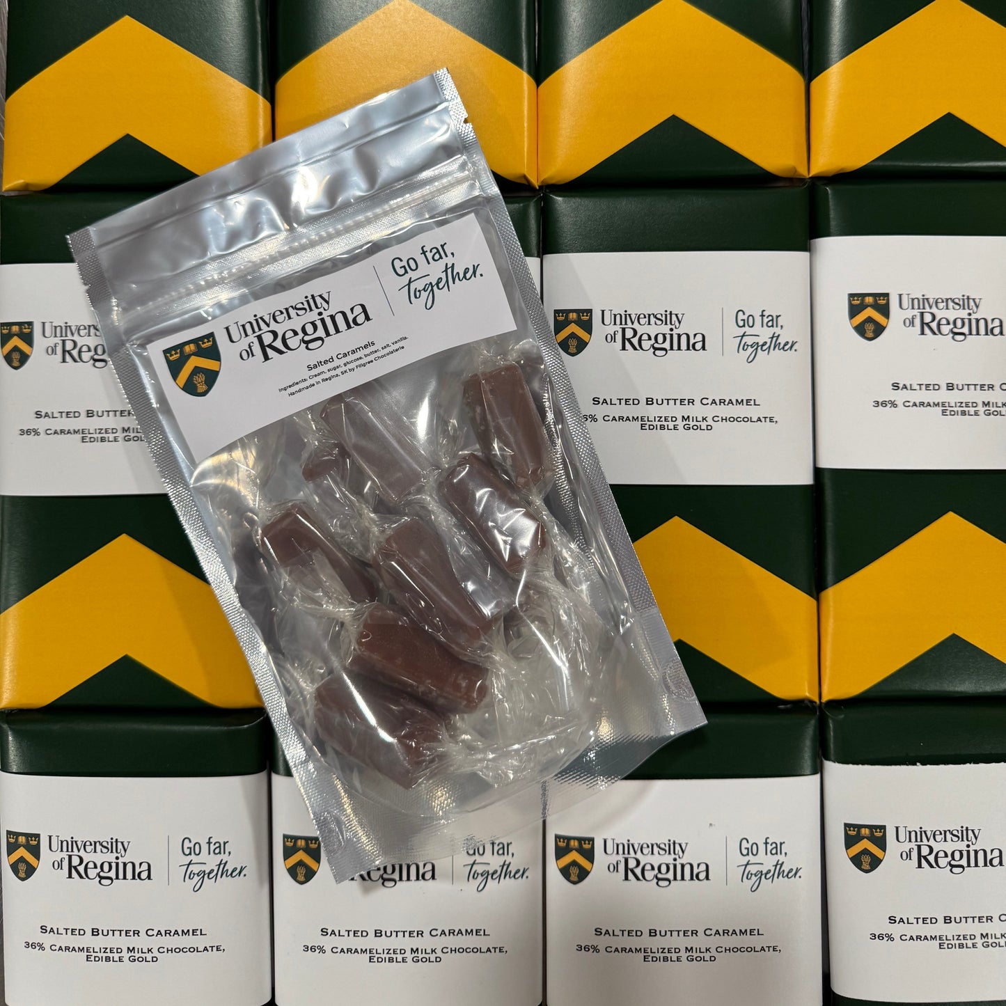 University of Regina